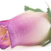 Wholesale Closed Bud Wooden Roses FULL CASE 100 Bunches, Mix and Match Colors, Price is per Bunch - The Original Wooden Rose