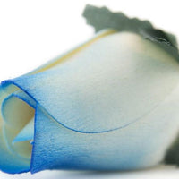 Wholesale Closed Bud Wooden Roses HALF CASE 50 Bunches, Mix and Match Colors, Price is per Bunch - The Original Wooden Rose