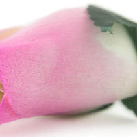 Wholesale Closed Bud Wooden Roses HALF CASE 50 Bunches, Mix and Match Colors, Price is per Bunch - The Original Wooden Rose