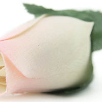 Wholesale Closed Bud Wooden Roses FULL CASE 100 Bunches, Mix and Match Colors, Price is per Bunch - The Original Wooden Rose