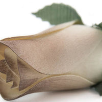 Wholesale Closed Bud Wooden Roses FULL CASE 100 Bunches, Mix and Match Colors, Price is per Bunch - The Original Wooden Rose