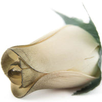 Wholesale Closed Bud Wooden Roses FULL CASE 100 Bunches, Mix and Match Colors, Price is per Bunch - The Original Wooden Rose
