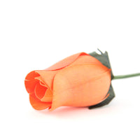 Orange Closed Bud Roses 8-Pack - The Original Wooden Rose