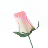 White/Lavender Closed Bud Roses 8-Pack - The Original Wooden Rose