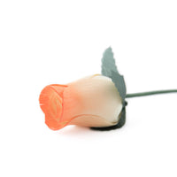 White/Orange Closed Bud Roses 8-Pack - The Original Wooden Rose