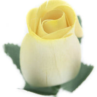 White with Yellow Tips Closed Bud Roses 8-Pack - The Original Wooden Rose