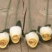 White with Yellow Tips Closed Bud Roses 8-Pack - The Original Wooden Rose