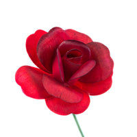 Red/Black Fully Open Roses 6-Pack - The Original Wooden Rose