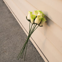 White/Light Green Closed Bud Roses 8-Pack - The Original Wooden Rose