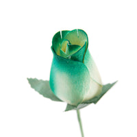 White/Dark Green Closed Bud Roses 8-Pack - The Original Wooden Rose