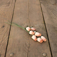 White/Cinnamon Closed Bud Roses 8-Pack - The Original Wooden Rose