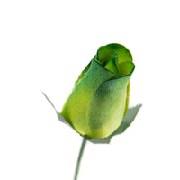 Green/Dark Green Closed Bud Roses 8-Pack - The Original Wooden Rose