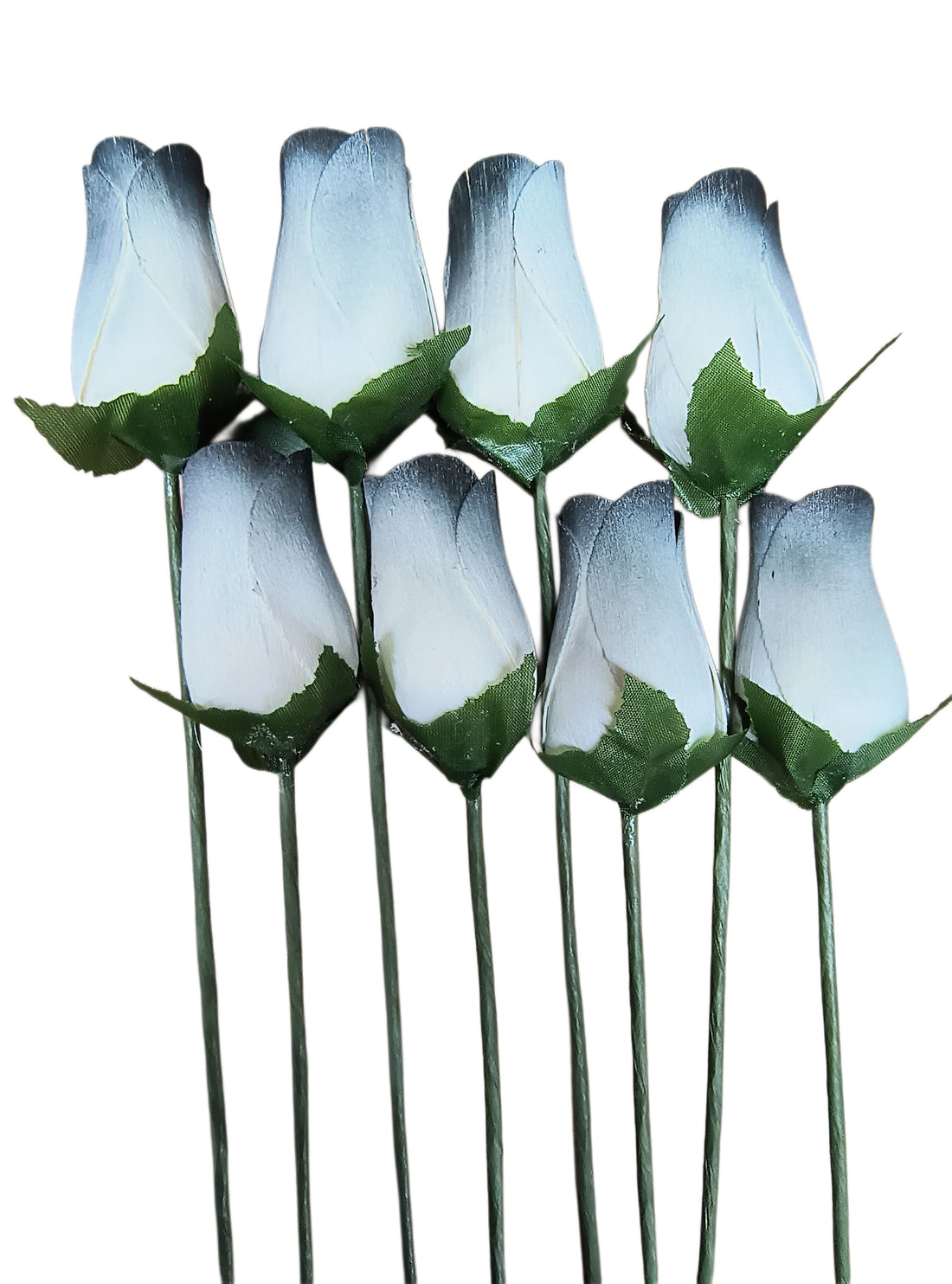 White with Black Tips Closed Bud Roses 8-Pack - The Original Wooden Rose