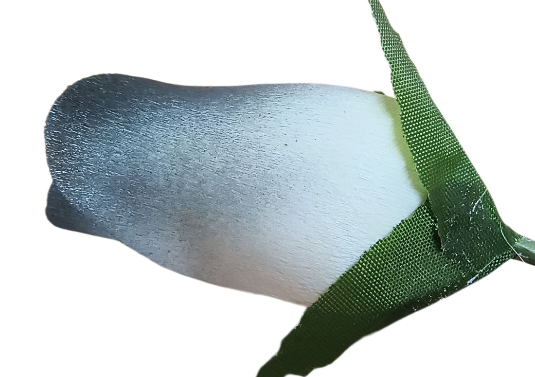 White with Black Tips Closed Bud Roses 8-Pack - The Original Wooden Rose