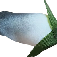 White with Black Tips Closed Bud Roses 8-Pack - The Original Wooden Rose