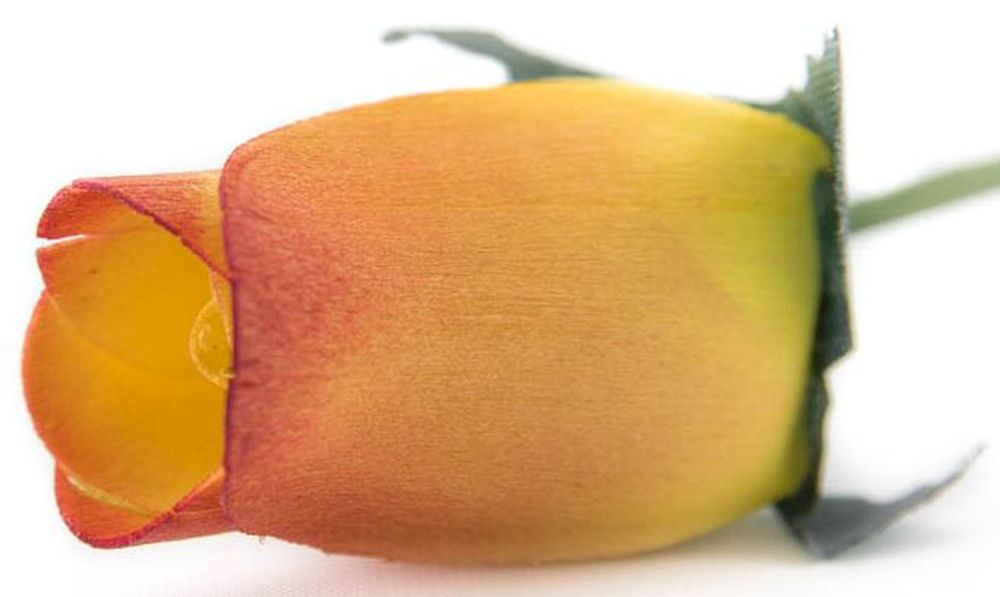Wholesale Closed Bud Wooden Roses FULL CASE 100 Bunches, Mix and Match Colors, Price is per Bunch