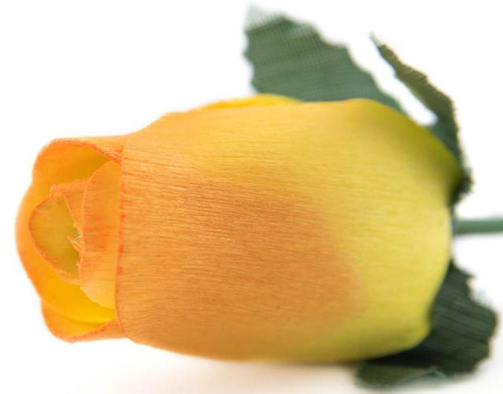 Wholesale Closed Bud Wooden Roses FULL CASE 100 Bunches, Mix and Match Colors, Price is per Bunch