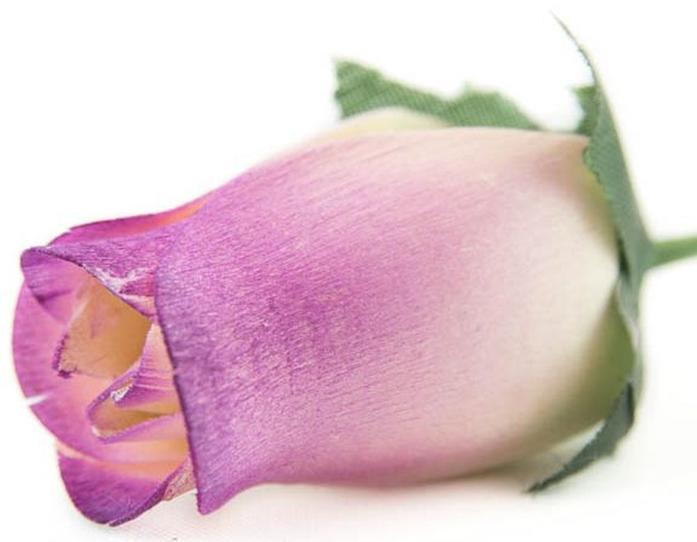 Wholesale Closed Bud Wooden Roses FULL CASE 100 Bunches, Mix and Match Colors, Price is per Bunch