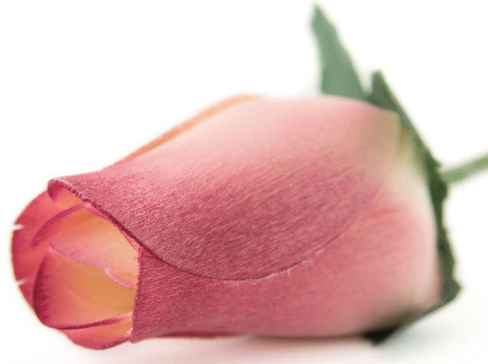 Wholesale Closed Bud Wooden Roses FULL CASE 100 Bunches, Mix and Match Colors, Price is per Bunch