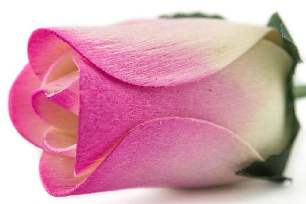 Wholesale Closed Bud Wooden Roses FULL CASE 100 Bunches, Mix and Match Colors, Price is per Bunch