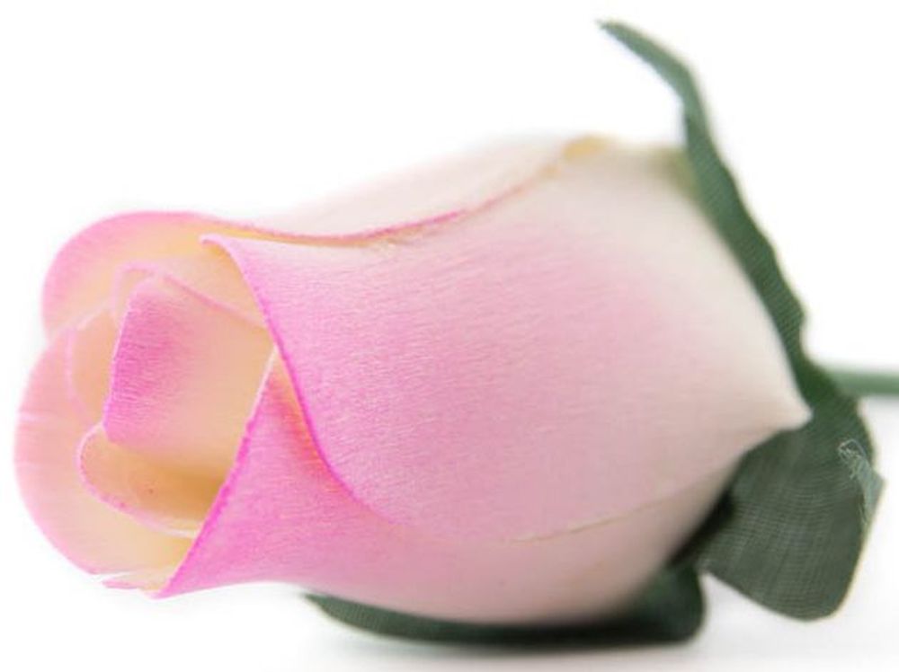 Wholesale Closed Bud Wooden Roses FULL CASE 100 Bunches, Mix and Match Colors, Price is per Bunch