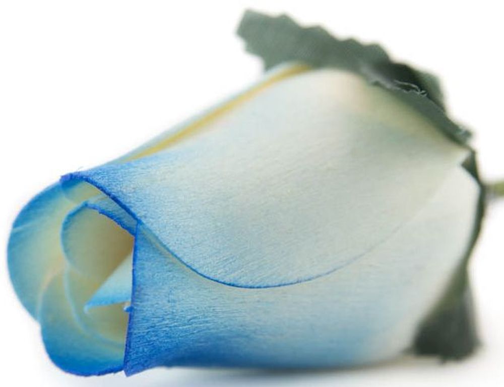Wholesale Closed Bud Wooden Roses FULL CASE 100 Bunches, Mix and Match Colors, Price is per Bunch