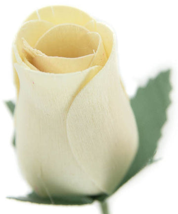 Bundle of 24 White Roses. - The Original Wooden Rose