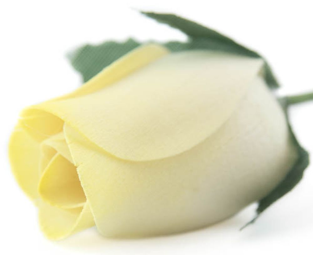 Wholesale Closed Bud Wooden Roses FULL CASE 100 Bunches, Mix and Match Colors, Price is per Bunch