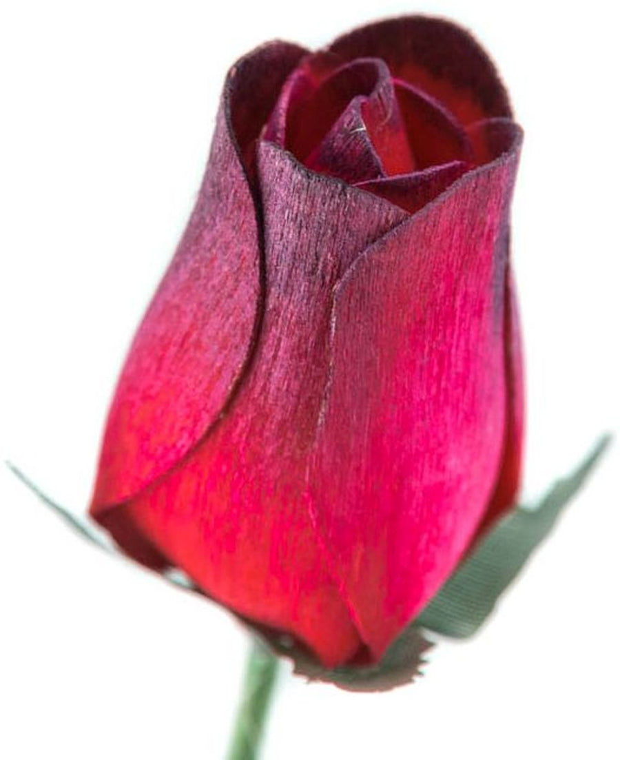 Bundle of 24 Red with Black Tip Roses.