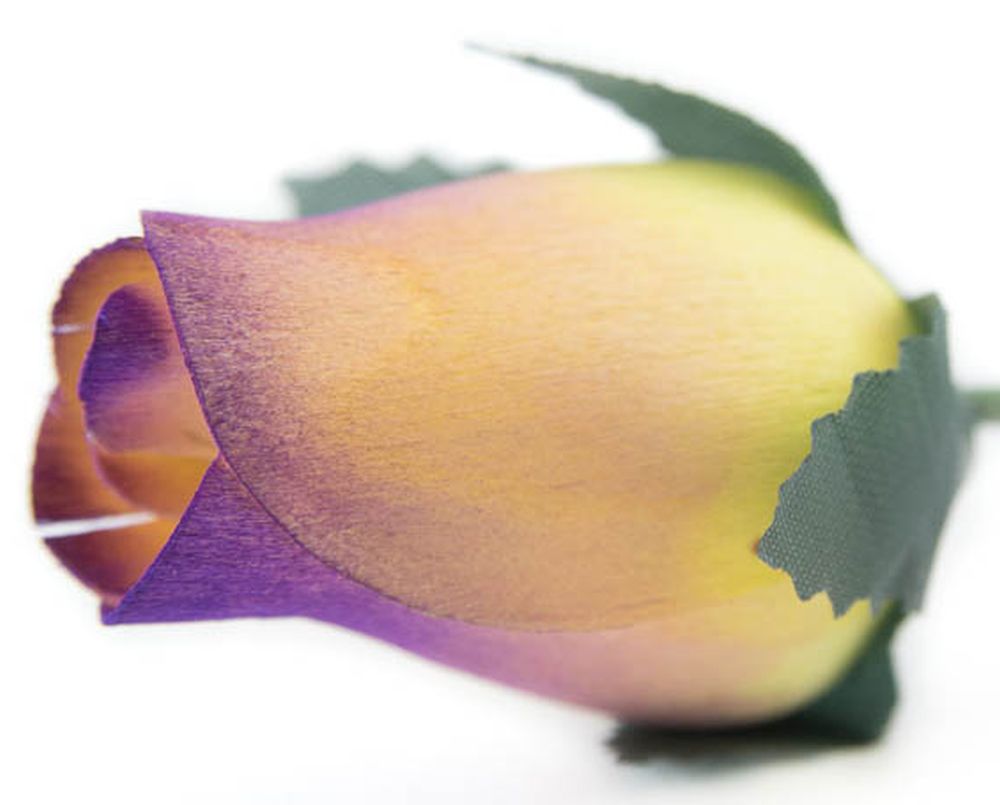 Wholesale Closed Bud Wooden Roses FULL CASE 100 Bunches, Mix and Match Colors, Price is per Bunch