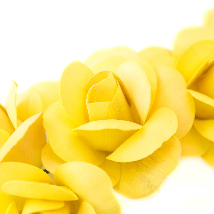 Yellow Fully Open Roses 6-Pack - The Original Wooden Rose