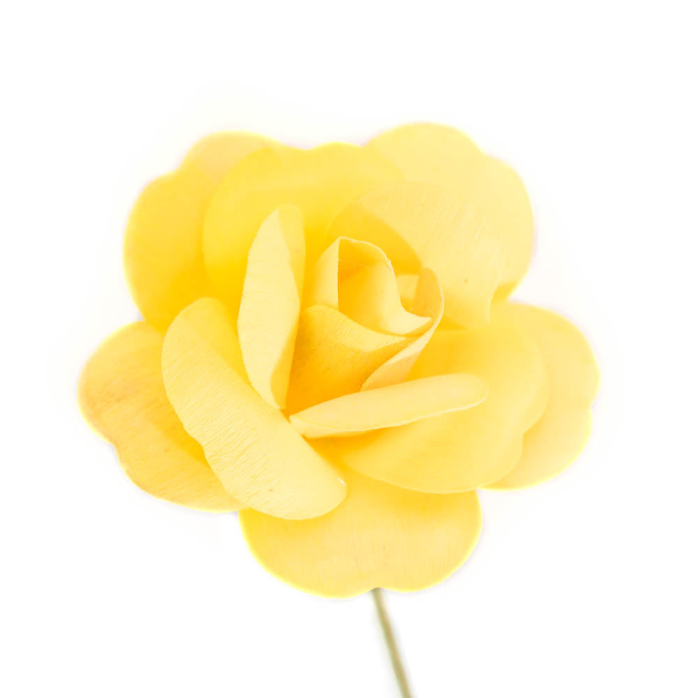Yellow Fully Open Roses 6-Pack - The Original Wooden Rose