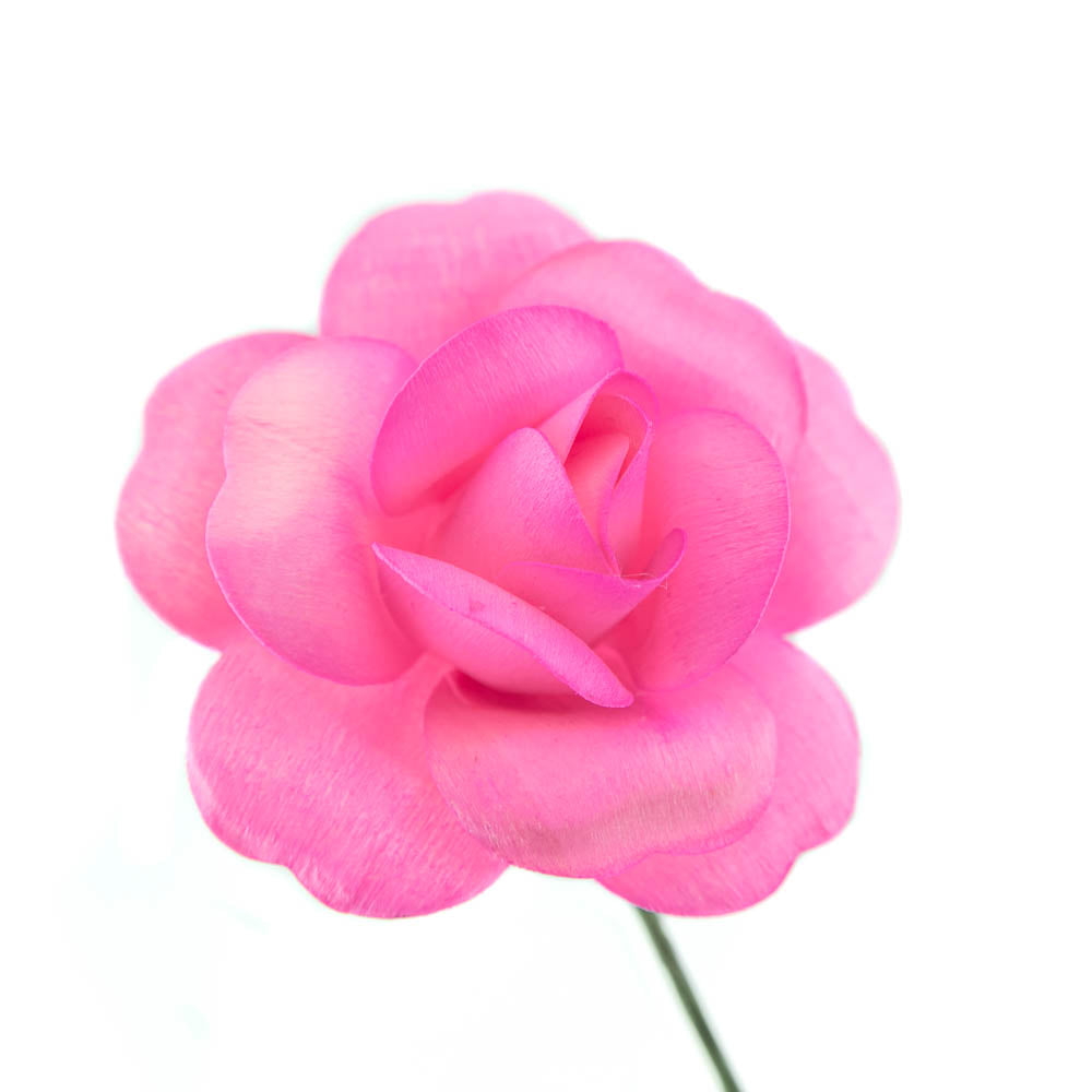 Pink/Hot Pink Fully Open Roses 6-Pack – The Original Wooden Rose