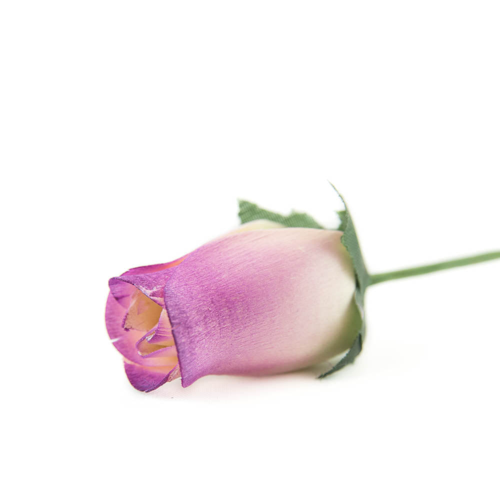 White/Burgundy (Raspberry) Closed Bud Roses 8-Pack - The Original Wooden Rose