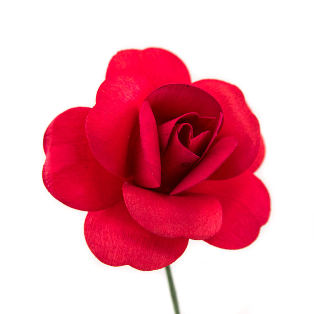 rose e fully Red Fully Open Roses 6-Pack