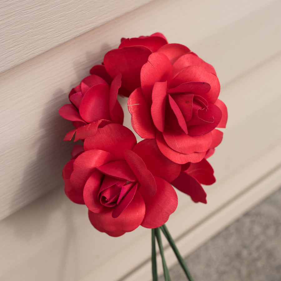 Red Roses Not Open How Do You Open Roses at Mia Mort blog