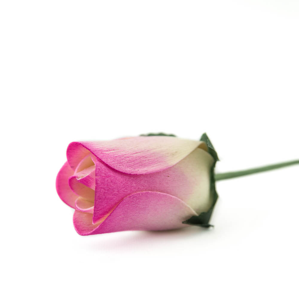 White/Hot Pink Closed Bud Roses 8-Pack - The Original Wooden Rose