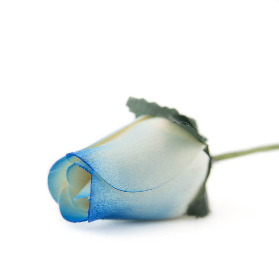 White/Blue Closed Bud Roses 8-Pack - The Original Wooden Rose
