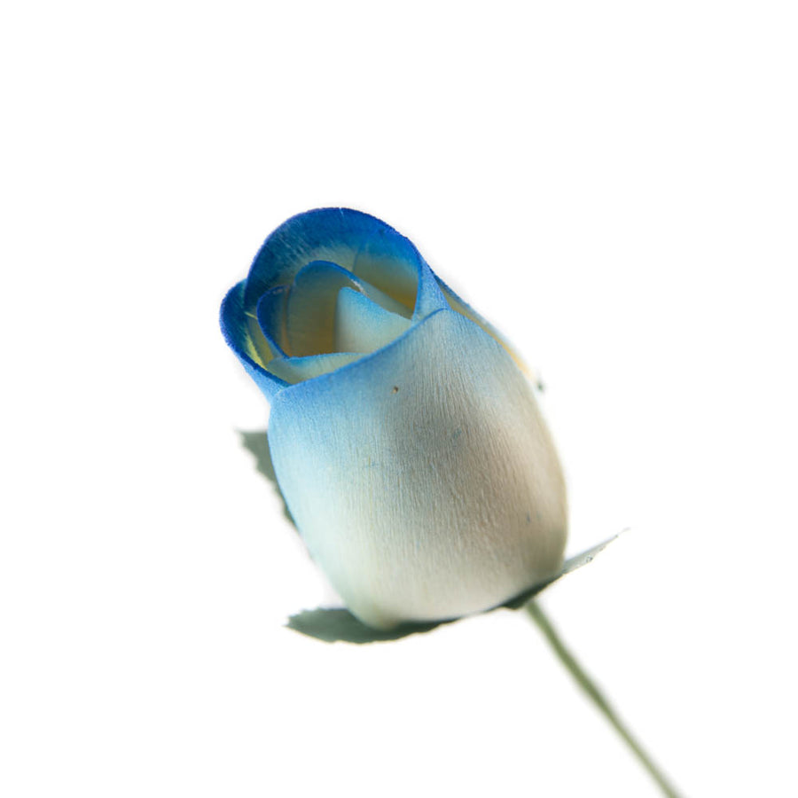 White/Blue Closed Bud Roses 8-Pack - The Original Wooden Rose
