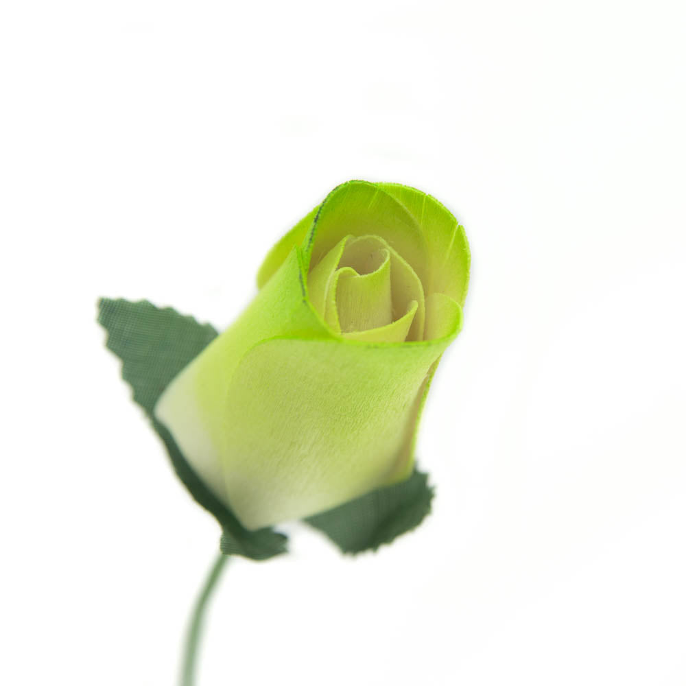 Green/White Closed Bud Roses 8-Pack - The Original Wooden Rose
