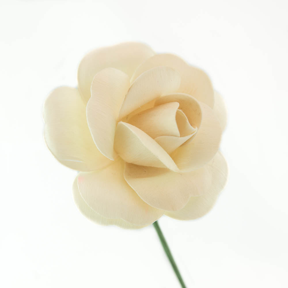 White Fully Open Roses 6-Pack - The Original Wooden Rose