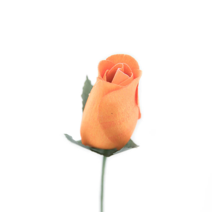 Pumpkin Closed Bud Roses 8-Pack - The Original Wooden Rose